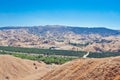 Orange Grove from Above Royalty Free Stock Photo