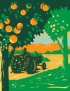 Orange Grove in Central Florida with Farmer Driving Vintage Tractor WPA Art Deco Poster