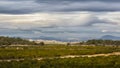 Orange groves in Spain under an exciting cloudy sky.