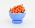 Orange gumberry Royalty Free Stock Photo