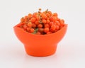Orange gumberry Royalty Free Stock Photo