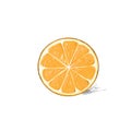 Orange half cut circle citrus fruit color sketch