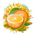Orange and half a fruit. Isolated vector on white background. Summer citrus fruits in splashes of juice, sunlight, foliage and Royalty Free Stock Photo