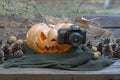 Real orange halloween pumpkin with carving