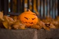 Halloween pumpkin at cemetery