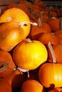 Orange Halloween Pumpkins