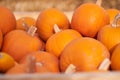 Orange halloween pumpkins on stack of hay or straw in sunny day, fall display