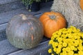 Orange halloween pumpkins on stack of hay or straw in sunny day, fall display Royalty Free Stock Photo