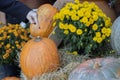 Orange halloween pumpkins on stack of hay or straw in sunny day, fall display Royalty Free Stock Photo