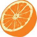 Orange Royalty Free Stock Photo