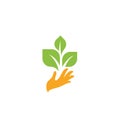 Orange hand with green leaves. Sprout, new life. Nature element logotype. Agricultural organic product sign. Harvesting