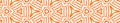 Orange handdrawn Seamless Border Scroll. Geometric