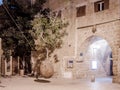 Orange hanging tree growing from a ossicle at night in old city Yafo, Israel.