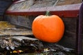 Orange Harvest Pumpkin and Old Farming Equipment