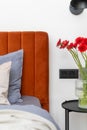 Orange headboard of comfortable bed, metal coffee table and electrical socket in bedroom Royalty Free Stock Photo