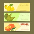 Orange healthy fruits for template banner banners horizontal variations option realistic with flat color style Royalty Free Stock Photo