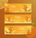 Orange healthy fruits for template banner banners horizontal variations option realistic with flat color style