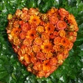 Orange heart Royalty Free Stock Photo