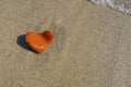 Orange heart shaped stone at the beach Royalty Free Stock Photo