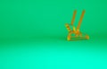 Orange Hermes sandal icon isolated on green background. Ancient greek god Hermes. Running shoe with wings. Minimalism