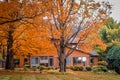 Orange House in Fall with an Orange Tree Royalty Free Stock Photo