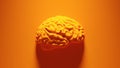 Orange Human Brain Orange Background