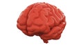 Orange Human brain on white background. Anatomical Model, 3d illustration
