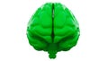 Green Human brain on white background. Anatomical Model, 3d illustration