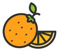 Orange icon. Juicy fresh citrus fruit isolated