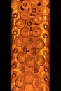 Orange illuminated bottles as background.