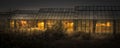 Orange illuminated nursery houses at night