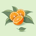 Orange illustration. Half and sliced orange fruits with leaves on light background.