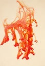 Orange ink separating Royalty Free Stock Photo