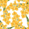 Orange Iris Flower on White Background. Vector Illustration Royalty Free Stock Photo
