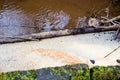 Orange Iron Gunge And Bubbles Sipping From Soil In A Stream