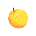 Orange Isolated Apple Funky Hand Drawn Fresh Fruit Cartoon Illustration