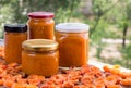 Orange jam cans prepared from harvest of melow apricot berries Royalty Free Stock Photo