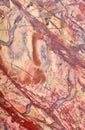 Orange jasper texture macro