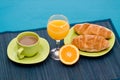 Orange juice Royalty Free Stock Photo