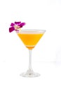 Orange juice in a cocktail glass on white background with orchid Royalty Free Stock Photo