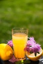 Orange juice, flowers and fruits