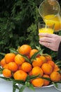 Orange juice and fresh oranges