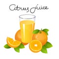 Orange juice with fruit slice vector. Realistic juicy orange with leaves Royalty Free Stock Photo