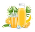 Orange juice glass bottle, plastic cup, fresh fruit, liquid splash, vector illustration. Tasty refreshing citrus juice.