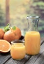 Orange juice in glass and carafe with fresh oranges Royalty Free Stock Photo