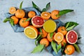 Orange juice in a glass.Citrus fruits orange, lemon, grapefruit, mandarin, lime. Fresh fruits. Mixed fruits background. Royalty Free Stock Photo
