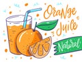 Orange Juice. A glass with juice, whole and slice orange. Vector illustration in cartoon style. Isolated on white background Royalty Free Stock Photo