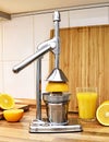 Orange juice. Hand or juicer and fresh fruits Royalty Free Stock Photo