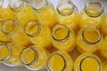 Orange juice Royalty Free Stock Photo