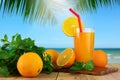 Fresh orange juice with oranges and blur beach background. Royalty Free Stock Photo